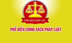 Những quy định mới về quản lý ngành, nghề đầu tư E2betvip link cá cược có điều kiện về an ninh, trật tự tại Nghị định số 56/2023/NĐ-CP